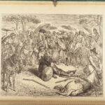 The History of Don Quixote – Cervantes – c.1880 | Gustave Doré Illustrations