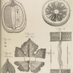 Encyclopaedia Britannica – 1797 | Illustrated Botany | Printing Press
