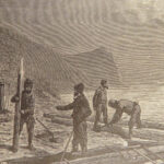 The Fur Country – Jules Verne – 1874 | First US Edition, 100 Illustrations