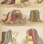 The Holy Bible – Holman – 1883 | Illustrated, Beautiful Leather Family Bible