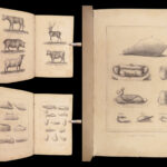 The Housekeeper’s Guide – Esther Copley – 1834 | First edition | Recipes