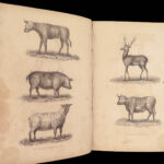 The Housekeeper’s Guide – Esther Copley – 1834 | First edition | Recipes