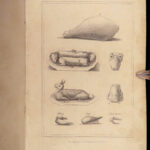 The Housekeeper’s Guide – Esther Copley – 1834 | First edition | Recipes