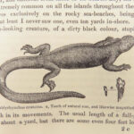 Journal of Researches – Charles Darwin – 1879 | Beautiful Moroccan Binding