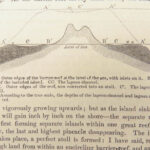 Journal of Researches – Charles Darwin – 1879 | Beautiful Moroccan Binding