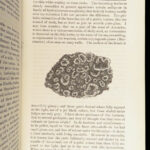 Journal of Researches – Charles Darwin – 1879 | Beautiful Moroccan Binding