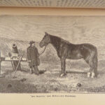 McClellan’s Own Story – George B. McClellan – 1887 | First Edition