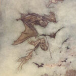 A Midsummer Night’s Dream – William Shakespeare – 1908 | First Edition Illustrated by Arthur Rackham