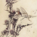 A Midsummer Night’s Dream – William Shakespeare – 1908 | First Edition Illustrated by Arthur Rackham