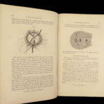 A Handy-Book of Ophthalmic Surgery – Laurence & Moon – 1866 | Eye Disease Treatment