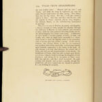 Tales from Shakespeare – Charles & Mary Lamb – 1909 | Signed by Arthur Rackham