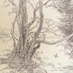 Winnie-the-Pooh – A.A. Milne – 1926 | First Edition, First Printing