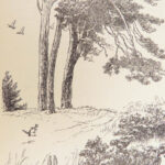 Winnie-the-Pooh – A.A. Milne – 1926 | First Edition, First Printing