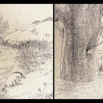 Winnie-the-Pooh – A.A. Milne – 1926 | First Edition, First Printing