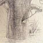 Winnie-the-Pooh – A.A. Milne – 1926 | First Edition, First Printing