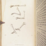 A Treatise on Painting – Leonardo Da Vinci – 1802 | 23 Engravings