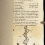 Roman Imperial Lives – Aldine Publishing – 1519 | Post-Incunable First Edition