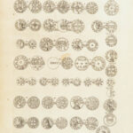 Ælfredi Magni Anglorum – John Spelman – 1678 | First edition, Alfred the Great