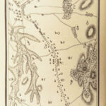 Seven Years War Officer’s Manual – Oswald von Czettritz – 1798 | First Edition, 60 Maps