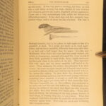 Journal of Researches – Charles Darwin – 1873 | Early Evolution Science
