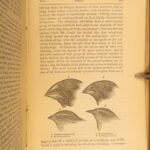 Journal of Researches – Charles Darwin – 1873 | Early Evolution Science