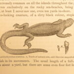 Journal of Researches – Charles Darwin – 1873 | Early Evolution Science