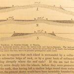 Journal of Researches – Charles Darwin – 1873 | Early Evolution Science