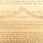 Journal of Researches – Charles Darwin – 1873 | Early Evolution Science