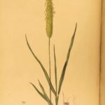 1807 – Practical Agriculture – Dickson | Illustrated Farming & Horse Training