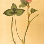 1807 – Practical Agriculture – Dickson | Illustrated Farming & Horse Training