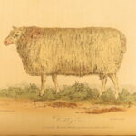 1807 – Practical Agriculture – Dickson | Illustrated Farming & Horse Training