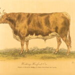 1807 – Practical Agriculture – Dickson | Illustrated Farming & Horse Training