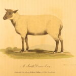 1807 – Practical Agriculture – Dickson | Illustrated Farming & Horse Training