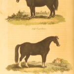 1807 – Practical Agriculture – Dickson | Illustrated Farming & Horse Training