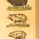 1807 – Practical Agriculture – Dickson | Illustrated Farming & Horse Training