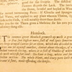 1681 – The English Physician – Nicholas Culpeper | Early Family Medicine & Herbal