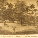 1784 – A Voyage to the Pacific Ocean – James Cook | First Edition, Stunning Leather Display