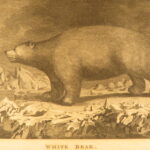 1784 – A Voyage to the Pacific Ocean – James Cook | First Edition, Stunning Leather Display