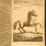 Les veritable parfait Mareschal – Solleysel – 1677 | First German Edition, Parallel French | Perfect Horse