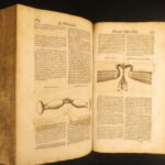 Les veritable parfait Mareschal – Solleysel – 1677 | First German Edition, Parallel French | Perfect Horse