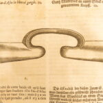 Les veritable parfait Mareschal – Solleysel – 1677 | First German Edition, Parallel French | Perfect Horse