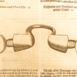 Les veritable parfait Mareschal – Solleysel – 1677 | First German Edition, Parallel French | Perfect Horse