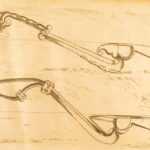 Les veritable parfait Mareschal – Solleysel – 1677 | First German Edition, Parallel French | Perfect Horse