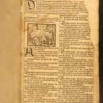 Biblia Die Gantze Heilige Schrift – Bible – 1718 | Martin Luther German | Huge Illustrated Folio