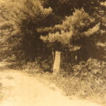 Walden – Henry David Thoreau – 1902 | Illustrated, Transcendentalism