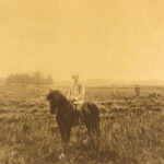 Walden – Henry David Thoreau – 1902 | Illustrated, Transcendentalism