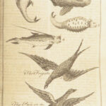 The Scots Magazine – 1758 | French & Indian War Battle Reports | Colonial America