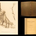 1852 Rokitansky Diseases of ARTERIES Medicine Surgery Illustrated German FOLIO
