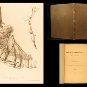 1852 Rokitansky Diseases of ARTERIES Medicine Surgery Illustrated German FOLIO