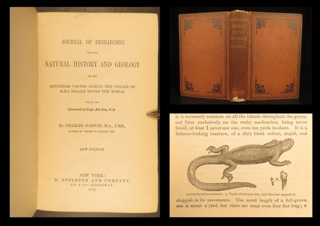 Journal of researches – charles darwin – 1873 | early evolution science | first illustrated u. S. Edition of darwin’s hms beagle voyage journal, presenting observations that laid groundwork for his later evolutionary theory, featuring in-text illustrations throughout.